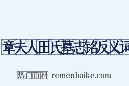 章夫人田氏墓志铭反义词是什么意思的图片